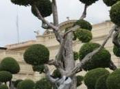 POEM: What This Thing Called Beauty?