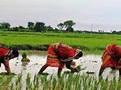 PM-Kisan Scheme Scam Fraud Accounts Beneficiaries