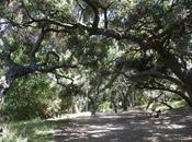 TEMESCAL CANYON HIKE: Nature Edge City, Angeles,