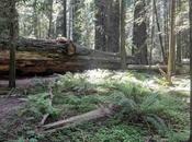 Adventure California: Adventures Have Least Once