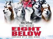 Paul Walker Weekend Eight Below (2006)