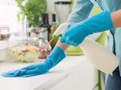 Kitchen Maintenance Tips Keep Your Clean Tidy
