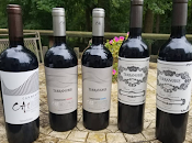 Comparative Chilean Carménère with TerraNoble