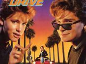 License Drive