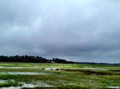 Wilmington Island, Tropical Storm Weather, High...