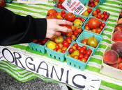 Reasons Choose Organic Food