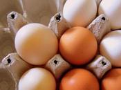 Heart Disease Linked Low-carb Diets, Study Says