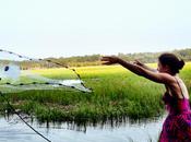 Casting Shrimp Net. Caught Reeds.