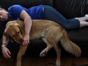 Dogs Provide Source Healing Veterans