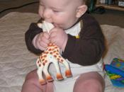 Your Baby Chew Giraffe