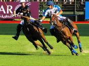 Horses Courses: Polo Match Jewelry