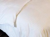 Natural Comfort Duvet Insert Review