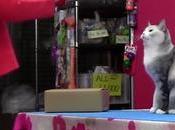 Kitty See, Imitates Human