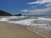 POINT REYES NATIONAL SEASHORE, California: McClure’s Beach