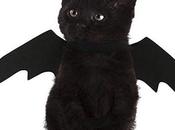 Halloween Costumes Cats? Count