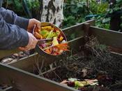 Make Compost Your Backyard