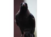 POEM: Sunday Morning Sounds