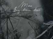 Mone: Brown Bear