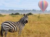 Classic Two-centre African Adventures