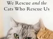 Second Chance Cats: True Stories Cats Rescue Callie Smith Grant- Editor Feature Review
