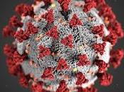 This Just Nation's Leadership Pandemic