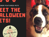 Meet October Featured Pets Halloween Costumes