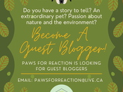 Paws Reaction Looking Guest Bloggers