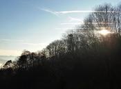 Here Comes Sun!
