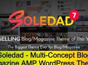 Soledad Multi-Concept Blog Magazine WordPress Theme Free Download