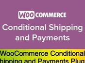 WooCommerce Conditional Shipping Payments Plugin Free Download