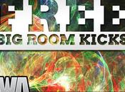 WAProd_Free_Big_Room_Kicks