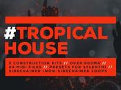 Hypeddit Exclusives Tropical House Sample Pack