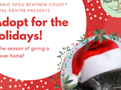 Holiday Adoption Campaign: Season Giving Fur-ever Home
