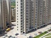 Should Property Amid COVID-19?