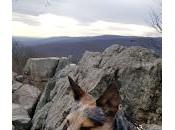 Hiking Wine Maryland's Catoctin Mountains