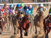 Horse Racing Like Other