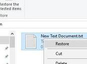 Recover Permanently Deleted Files from Recycle Window 10/8/7?