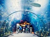 Best Family-friendly Places Dubai