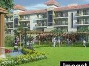 Impact Coronavirus Indian Real Estate