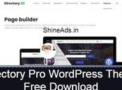Directory WordPress Theme Free Download