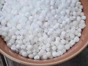 What Tapioca? Cassava Pearls It’s Uses