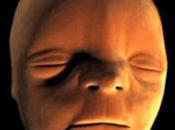 First Animation Reveals Face Forms Womb