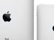 iPad Mini Designed Thin iPod Touch