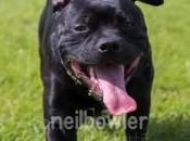 Portraits Rugby Photographer Warwickshire