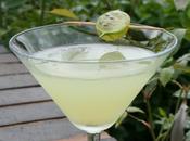 Gooseberry Elderflower Martini