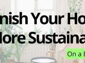 Ways Furnish Your Home Sustainably Budget