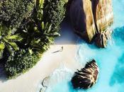 Giant Aldabra Tortoise Goes Missing