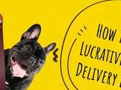 Start Lucrative Pets Food Delivery Business?