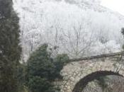 POEM: Awaiting Winter [Sonnet]