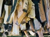 Beginner’s Guide Firewood: Need Know